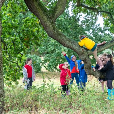 Children climbing trees in Wenny Meadow - Photograph by Kev Gregory