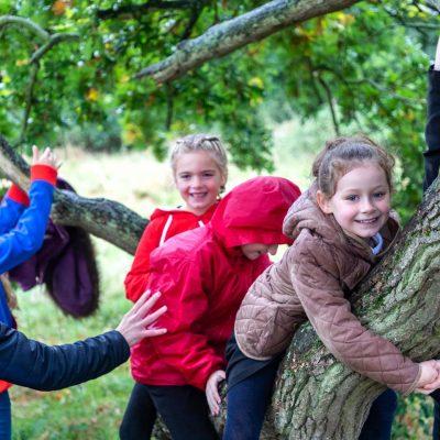 Children climbing trees in Wenny Meadow - Photograph by Kev Gregory